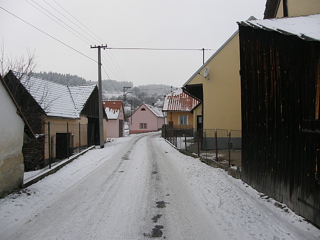 P1123289.jpg