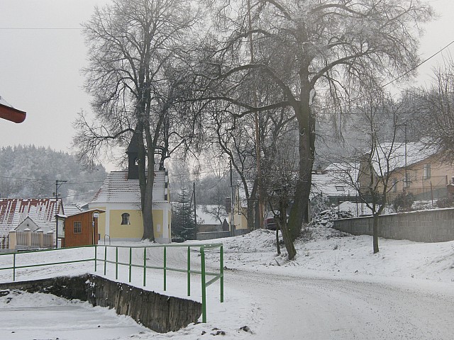 P1123292.jpg
